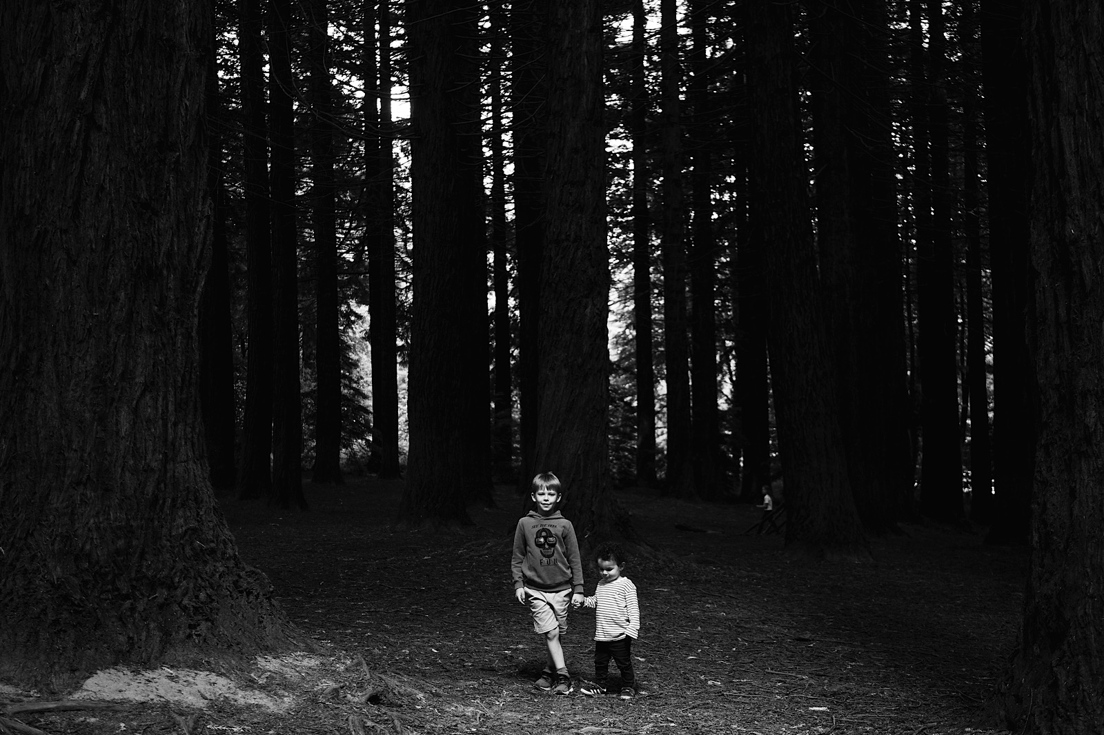 Children playing in woodland